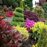 Рослини для озеленення саду