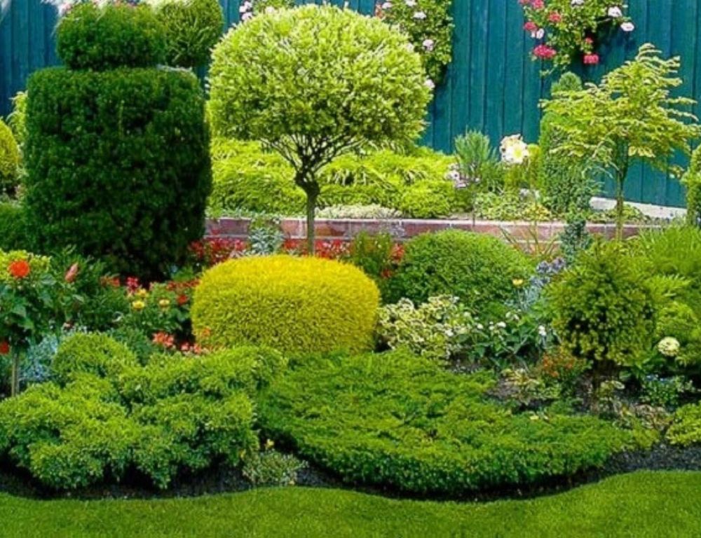 Декоративні кущі